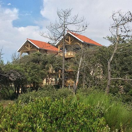 Bed and Breakfast Le Lys Des Sables Сулак-сюр-Мер Екстер'єр фото